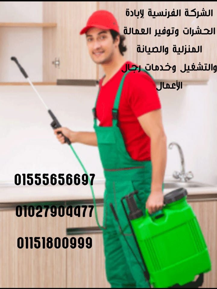 الفرنسية متخصصون فى مكافحة الحشرات والفئران