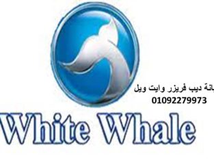 صيانة وايت ويل ثلاجات فى المنصورة 01210999852