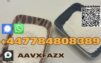 2024 offers against 1451-82-7 Paracetamol powder p
