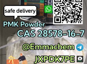 CAS 28578-16-7 PMK Oil powder bluk price high puri