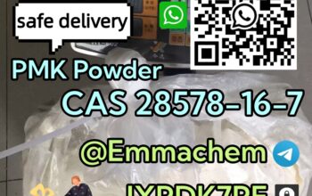 CAS 28578-16-7 PMK Oil powder bluk price high puri