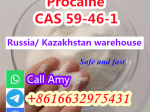 Procaine supplier CAS 59-46-1