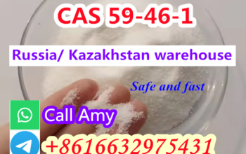 Procaine supplier CAS 59-46-1
