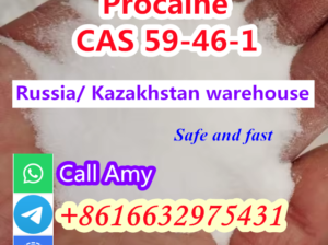 High quality 99% Procaine CAS 59-46-1