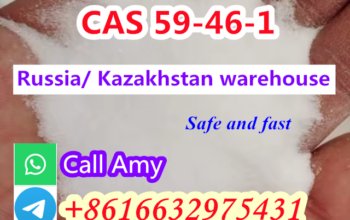 High quality 99% Procaine CAS 59-46-1