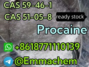 CAS 59-46-1 Procaine best quality factory supply