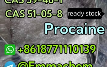 CAS 59-46-1 Procaine best quality factory supply