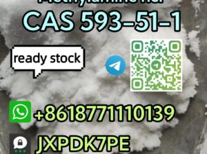 CAS 593-51-1 Methylamine hcl safe delivery
