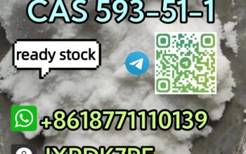 CAS 593-51-1 Methylamine hcl safe delivery