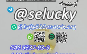 CAS 5337-93-9 4-Methylpropiophenone MPP/MPF4