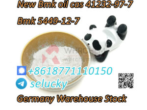 New bmk powder Cas 5449-12-7 with warehouse price