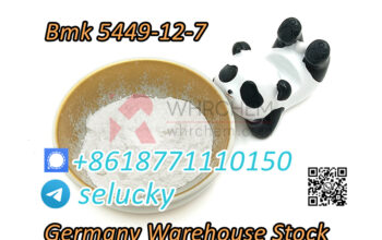 New bmk powder Cas 5449-12-7 with warehouse price