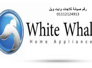 صيانة ديب فريزرات وايت ويل الدقهلية 01283377353