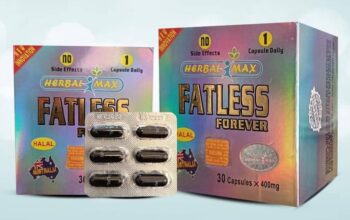 فات ليس FAT LESS
