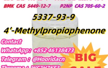 4-Methylpropiophenone CAS 5337-93-9 Made In China