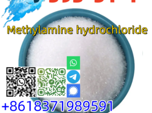 Good quality CAS 593-51-1 Methylamine hydrochlorid