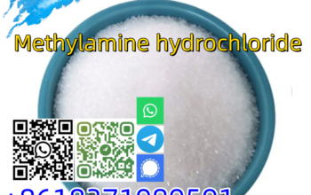Good quality CAS 593-51-1 Methylamine hydrochlorid
