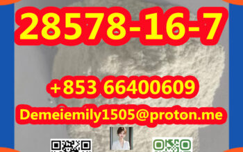 CAS 28578-16-7 PMK 缩水甘油酸乙酯 中国工厂供应 低价 高纯度 稳定 客户回购