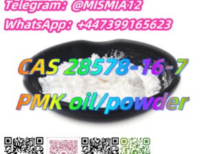 CAS 28578-16-7 PMK ethylglycidate oil/powder Signa