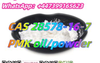 CAS 28578-16-7 PMK ethylglycidate oil/powder Signa