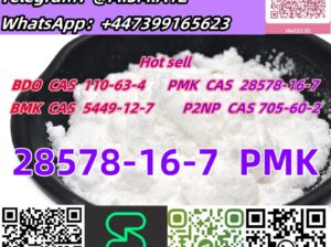 CAS 28578-16-7 PMK ethylglycidate oil/powder Whats