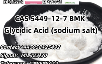 CAS 5449-12-7 BMK Glycidic Acid (sodium salt) Emai