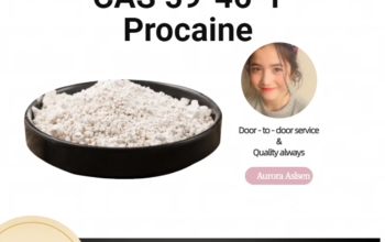 Procaine CAS 59-46-1