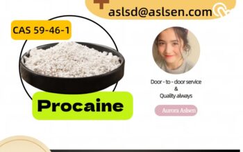 Popular Global Quality Procaine CAS Number 59-46-1