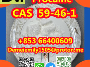 CAS 59-46-1 普鲁卡因中国工厂供应更低的价格高纯度高品质