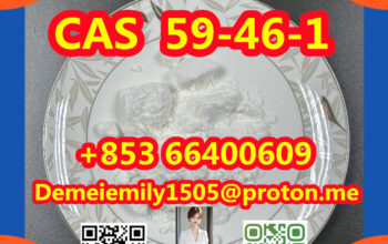 CAS 59-46-1 普鲁卡因中国工厂供应更低的价格高纯度高品质