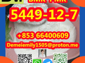 CAS 5449-12-7 BMK 缩水甘油酸（钠盐）中国工厂供应最优惠的价格优质的安全交货安全运输