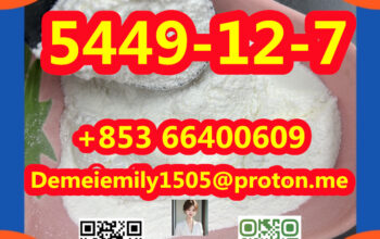 CAS 5449-12-7 BMK 缩水甘油酸（钠盐）中国工厂供应最优惠的价格优质的安全交货安全运输