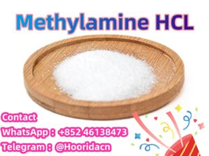 CAS 593-51-1 Methylamine hydrochloride
