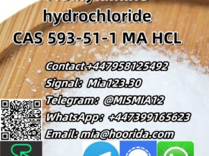 Methylamine hydrochloride CAS 593-51-1 MA HCL Tel