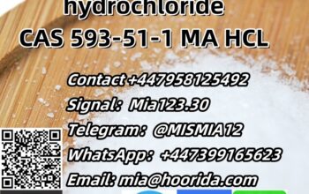 Methylamine hydrochloride CAS 593-51-1 MA HCL Tel