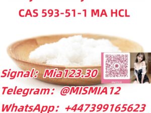 Methylamine hydrochloride CAS 593-51-1 MA HCL Tel