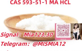 Methylamine hydrochloride CAS 593-51-1 MA HCL Tel