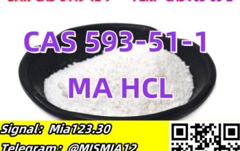 Methylamine hydrochloride CAS 593-51-1 MA HCL Ema