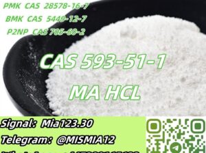 Methylamine hydrochloride CAS 593-51-1 MA HCL Sig