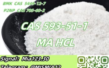 Methylamine hydrochloride CAS 593-51-1 MA HCL Sig