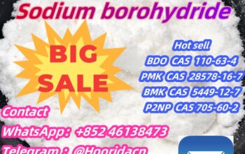 High Purity CAS 52190-28-0