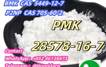 low price CAS 28578-16-7 PMK oil/powder