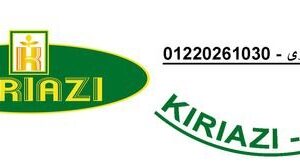 خط الساخن لصيانة ثلاجات كريازي مدينتي 01207619993