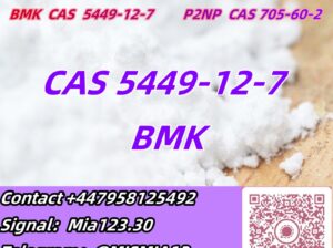 safe supply CAS 5449-12-7 BMK Glycidic Acid (sodi