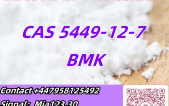 safe supply CAS 5449-12-7 BMK Glycidic Acid (sodi