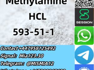 safe supply Methylamine hydrochloride CAS 593-51-