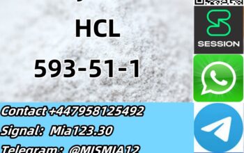 safe supply Methylamine hydrochloride CAS 593-51-