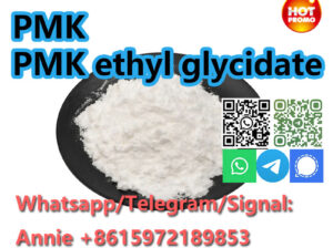 New PMK Powder CAS 28578–16–7 PMK ethyl glycidate
