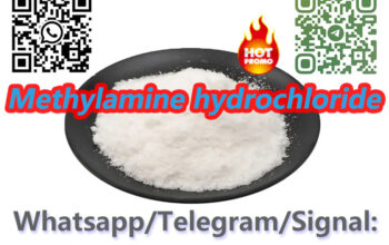 High quality CAS 593-51-1 Methylamine hydrochlorid