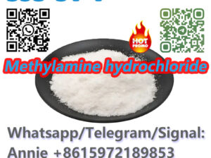 High quality CAS 593-51-1 Methylamine hydrochlorid